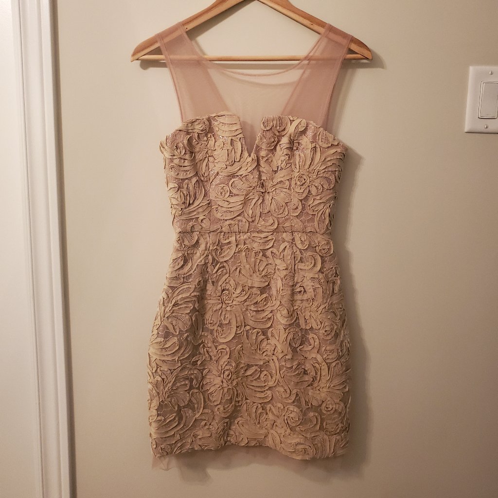Bcbg Nude Floral Dress